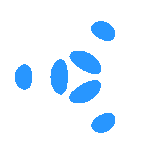 loader image